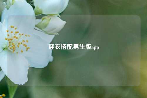 穿衣搭配男生版app