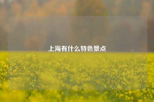 上海有什么特色景点