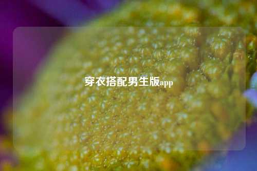 穿衣搭配男生版app