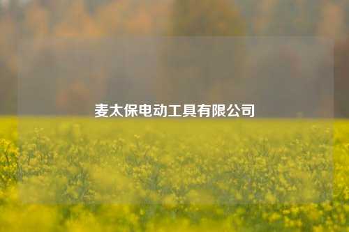 麦太保电动工具有限公司