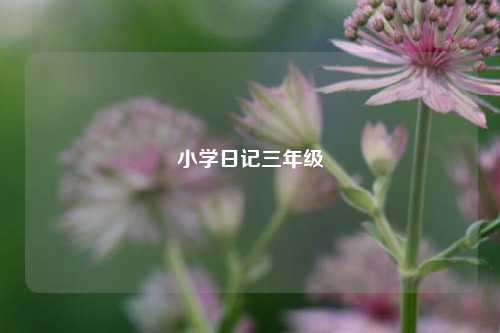 小学日记三年级