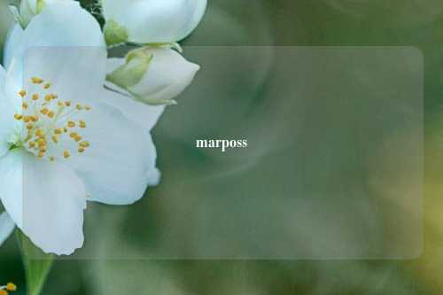 marposs