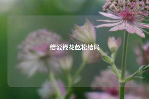 结爱钱花赵松结局