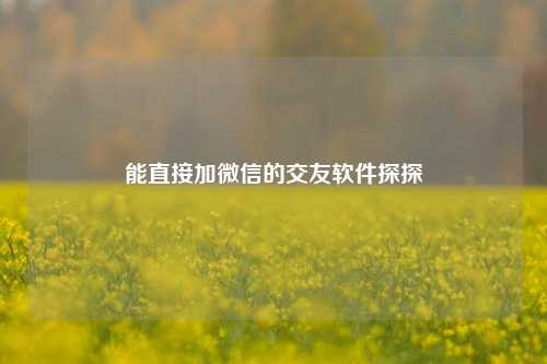 能直接加微信的交友软件探探