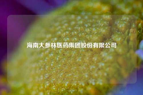 海南大参林医药集团股份有限公司