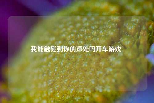 我能触碰到你的深处吗开车游戏 