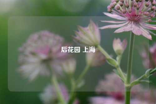 后花园 上海