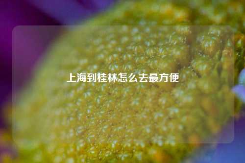 上海到桂林怎么去最方便