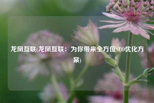 龙凤互联(龙凤互联：为你带来全方位SEO优化方案)