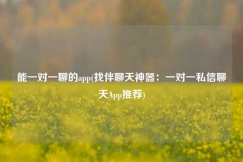 能一对一聊的app(找伴聊天神器：一对一私信聊天App推荐)