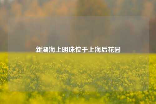 新湖海上明珠位于上海后花园