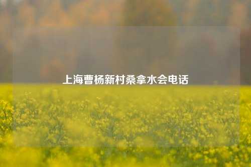 上海曹杨新村桑拿水会电话