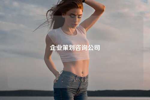 企业策划咨询公司