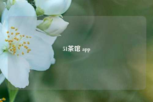 51茶馆 app