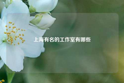 上海有名的工作室有哪些