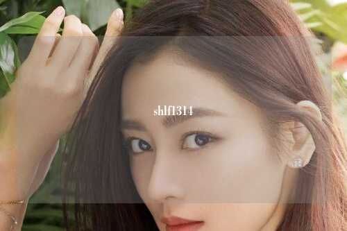 shlf1314