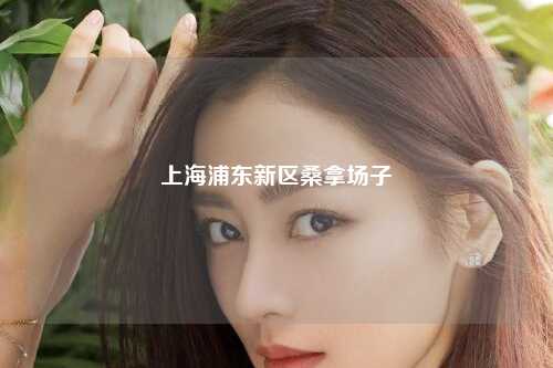 上海浦东新区桑拿场子