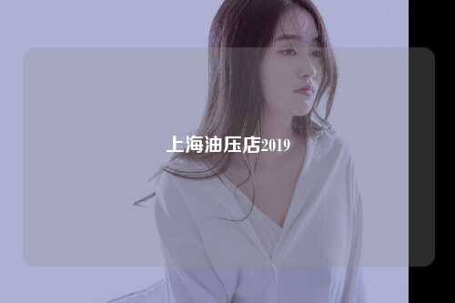 上海油压店2019