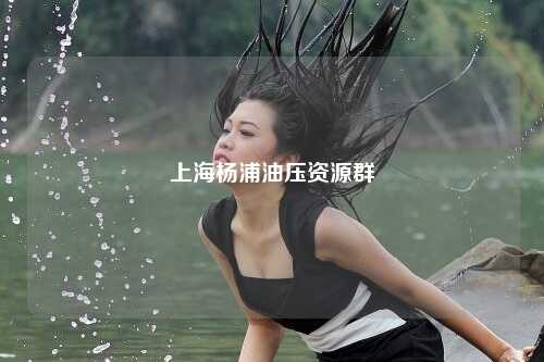 上海杨浦油压资源群
