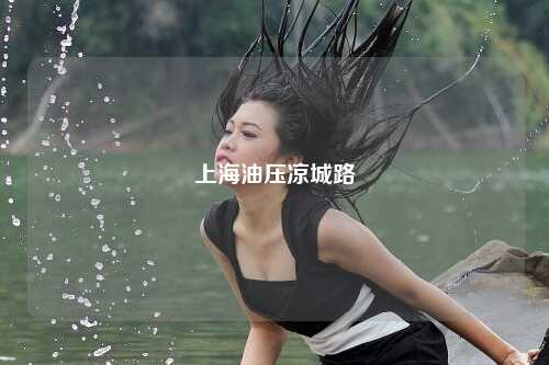上海油压凉城路