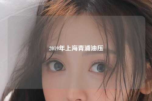 2019年上海青浦油压