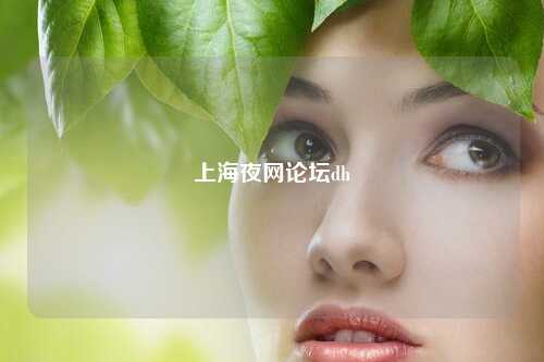 上海夜网论坛dh