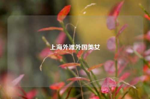 上海外滩外国美女