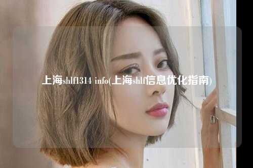 上海shlf1314 info(上海shlf信息优化指南)
